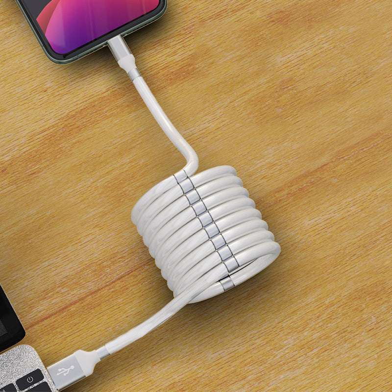 Magnetic data cable - BuzzMart