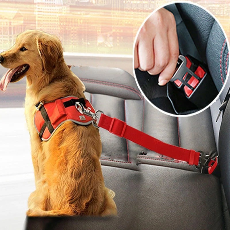Adjustable Pet Cat Dog Car Seat Belt Pet Seat Vehicle Dog Harness Lead Clip Safety Lever Traction Dog Collars Dogs Accessoires Pets Products - BuzzMart