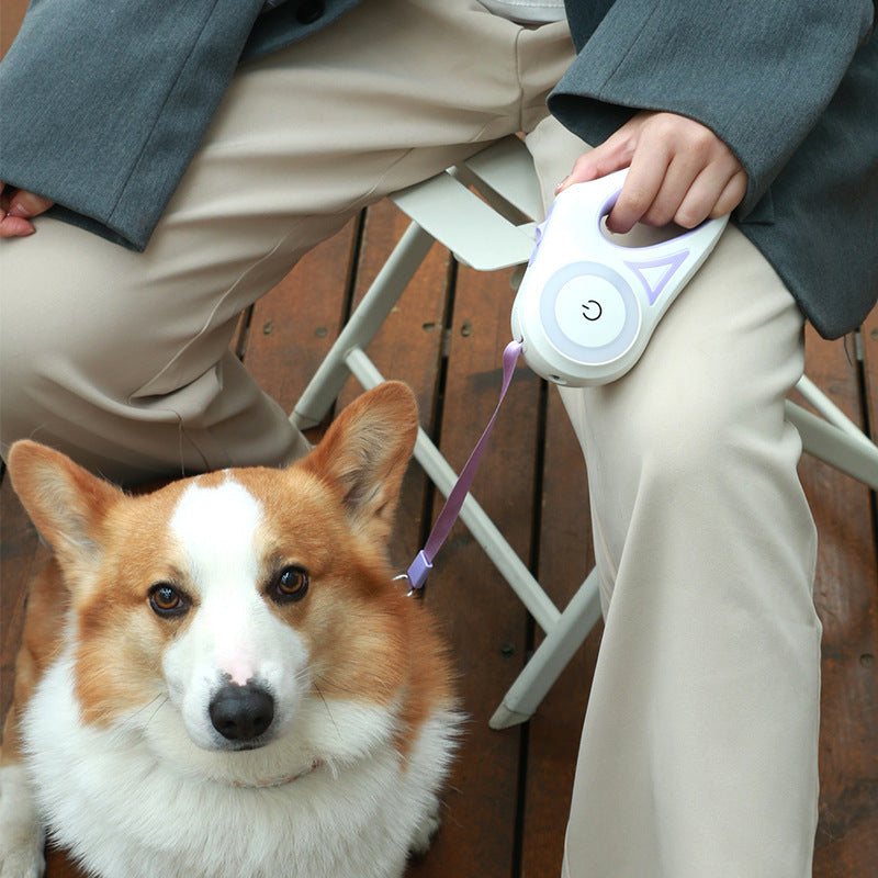Retractable Dog Leash with Collar – Automatic Pet Traction Rope for Small & Medium Dogs and Cats - BuzzMart
